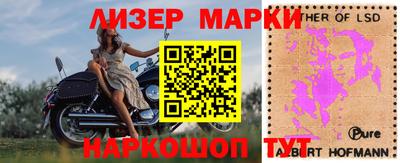 прущие грибы Кулебаки