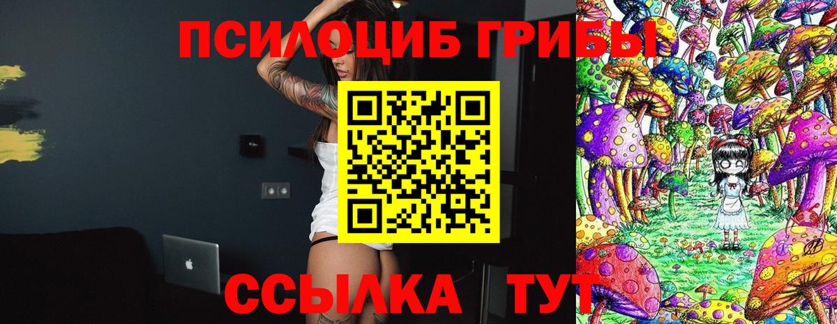 Псилоцибиновые грибы Cubensis Когалым