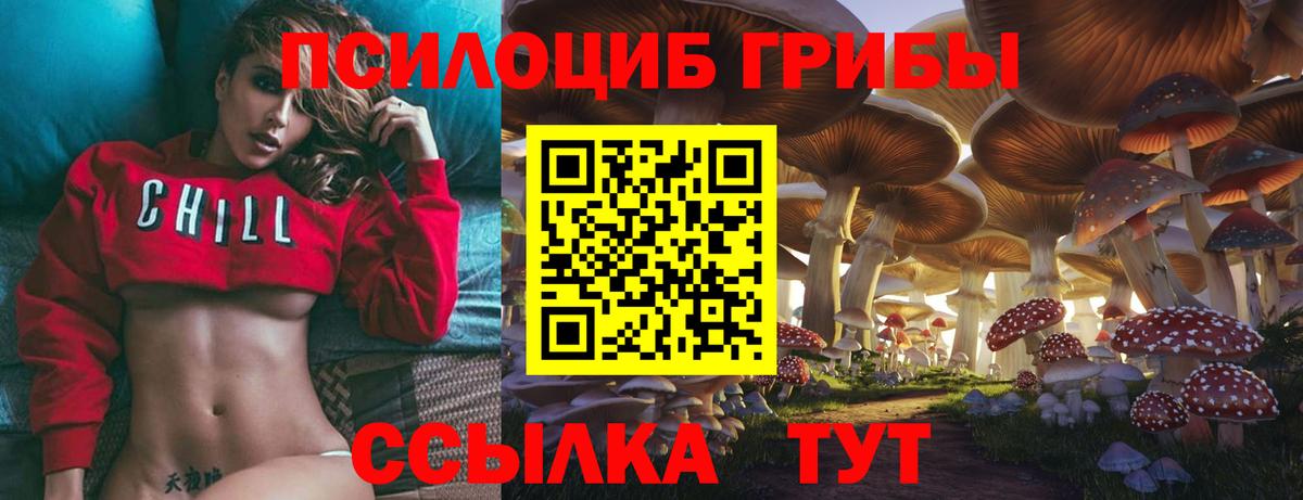 Когалым  Псилоцибиновые грибы ЛСД  Вход с VPN  Псилоцибиновые грибы Cubensis 